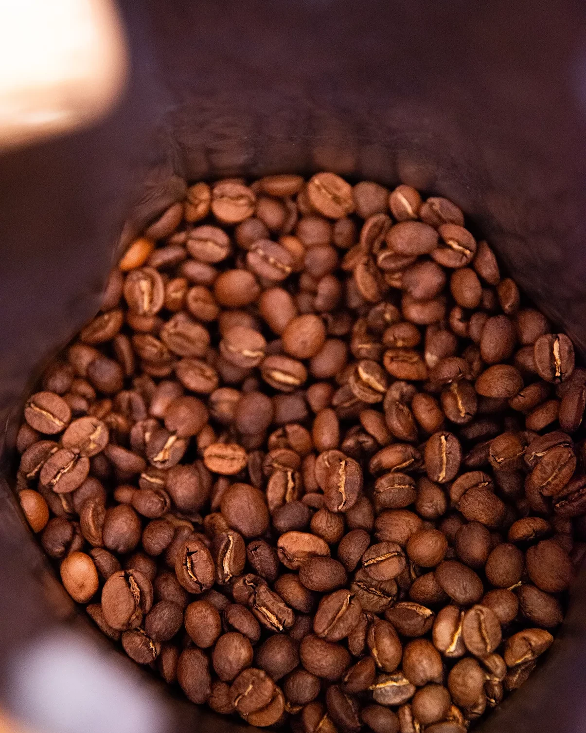 Café de Especialidad de Colombia: Origen, Proceso y Producto