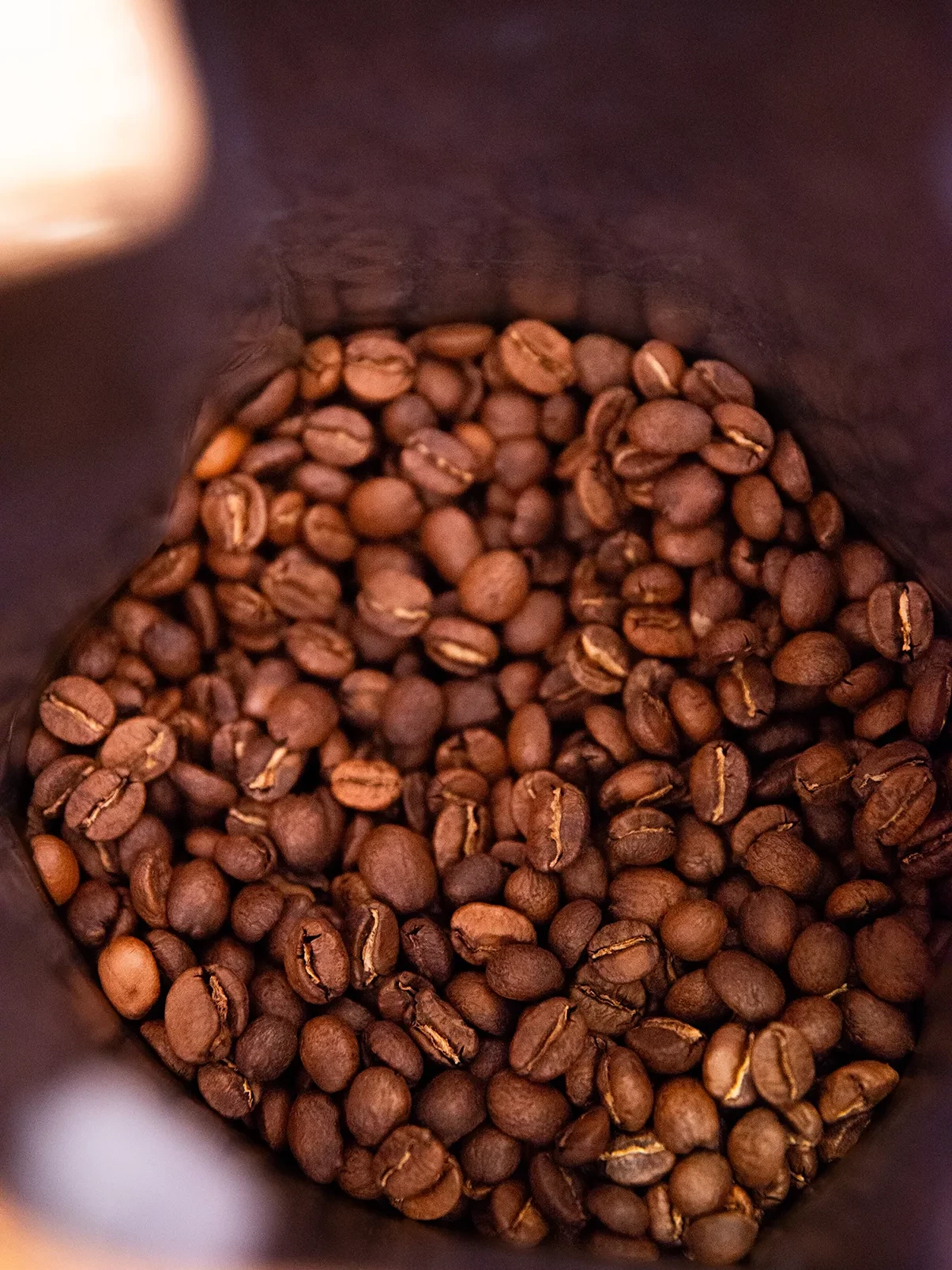 Café de Especialidad de Colombia: Origen, Proceso y Producto