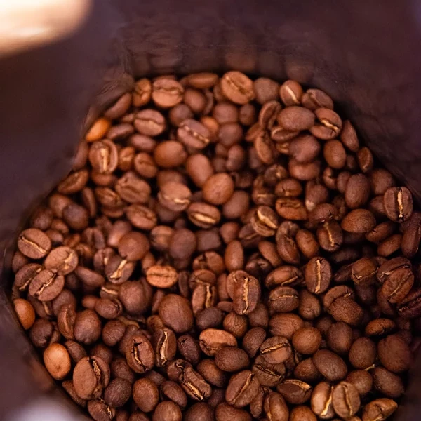 ¿Qué es el café de especialidad? Guía para empezar